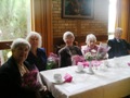 birthday celebrations